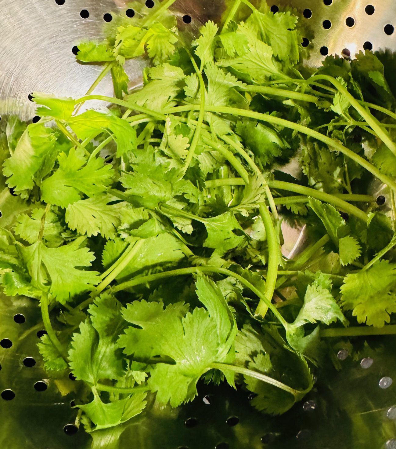 Cilantro for Skillet Rice