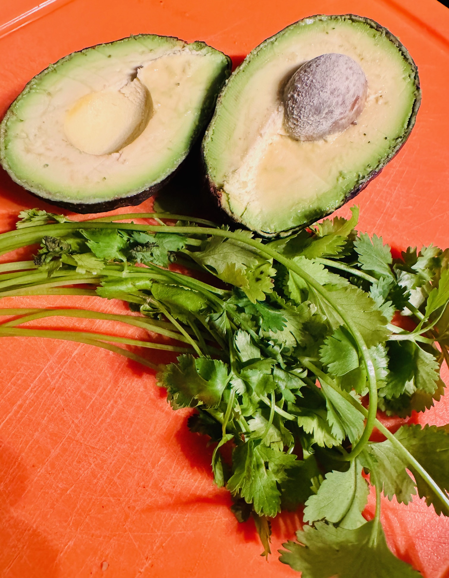 Avocado and Cilantro 