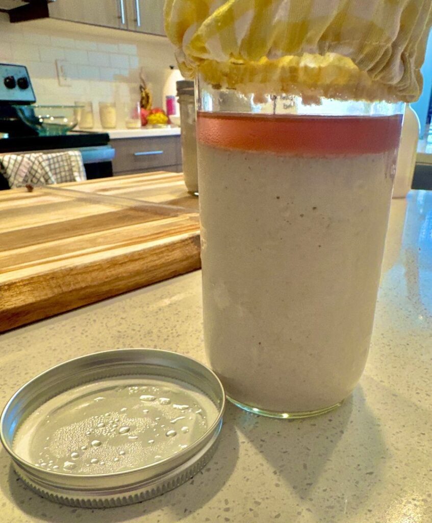 buckwheat sourdough starter
